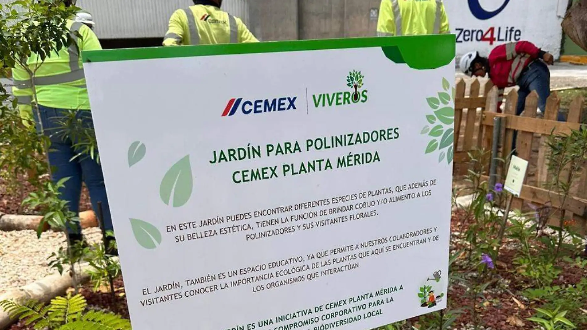 Cemex, abejas, mariposas, colibries